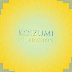 Koizumi Federation