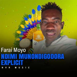 NDIMI MUNONDIGODORA-FARAI MOYO