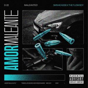 Amor Maleante (feat. The flow boy) (Explicit)