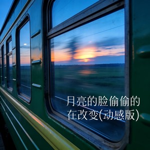 月亮的脸偷偷的在改变 (动感版)封面