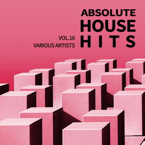 Various Artists - Absolute House Hits Vol.16