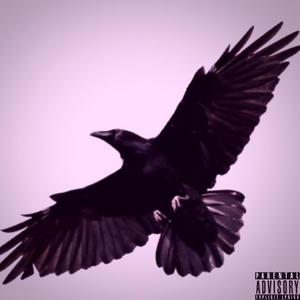 Crow (Explicit)