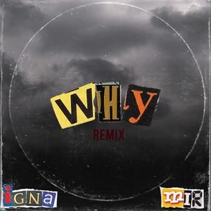 why (feat. IgNa) (Remix|Explicit)
