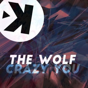 Crazy You (LNDR Radio Edit)