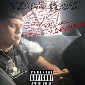 Surk Flow (Explicit)