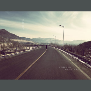 黄昏银杏木吉他