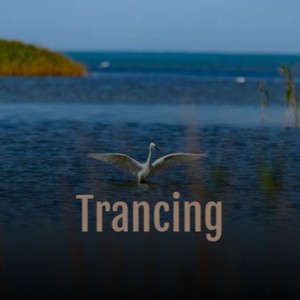 Meditation and Elevation - Part Two