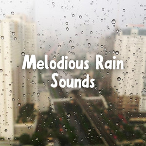 Melodious Rain Sounds