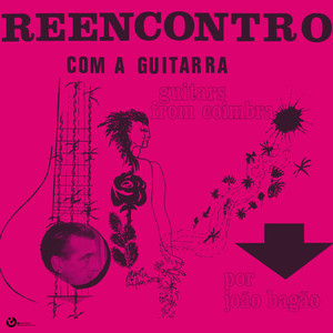 Reencontro Com a Guitarra