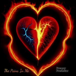 The Pains In Me (Explicit)