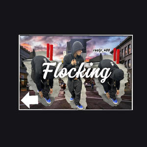 Flocking (Explicit)