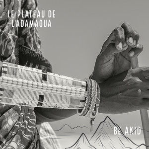 Le plateau de l'adamaoua (Explicit)