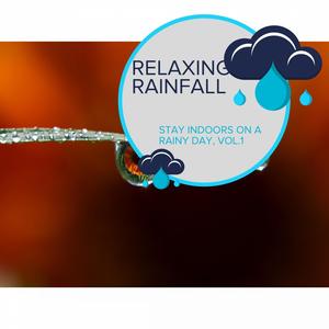 Relaxing Rainfall - Stay Indoors on a Rainy Day, Vol.1