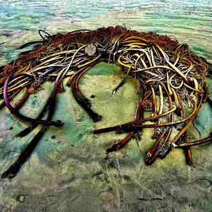 Redemption (feat. Marilyn T. Keller & Paul Riola) (Explicit)