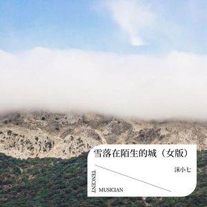 雪落在陌生的城 (女生版)