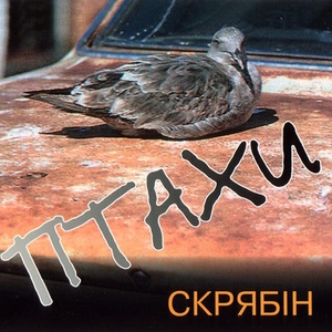 Птахи