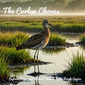 The Curlew Chorus (feat. Dez Allenby & Julie Dodsworth)