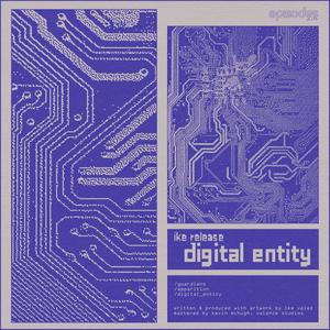 Digital Entity