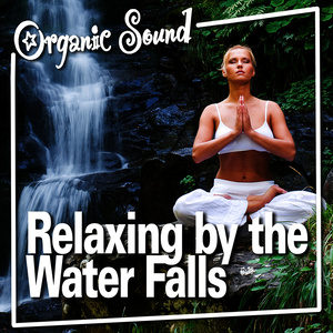 Relaxing by the Water Falls (Nature Sound)