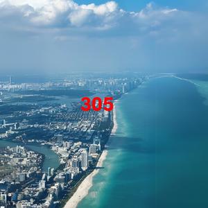 305