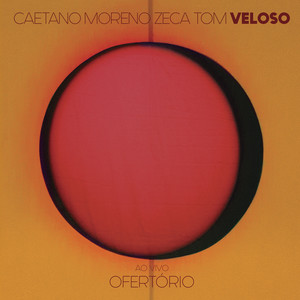 Caetano Veloso - Canto Do Povo De Um Lugar / Um Tom (Ao Vivo)