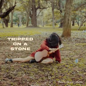 Tripped on a Stone (feat. Radon)