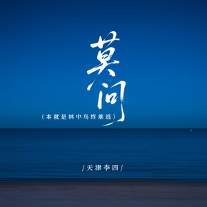 莫问 (电子木鱼版)封面