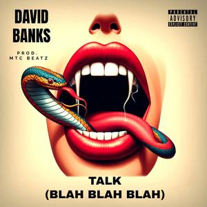 Talk (Blah, Blah, Blah) (Explicit)