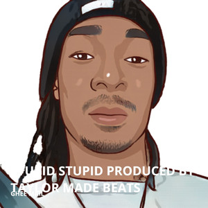 Stupid Stupid (Explicit)