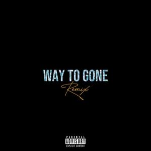 Way To Gone (feat. Cameron White & A.B.) [Remix] [Explicit]