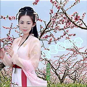 又见桃花开 (DJ小鹏)