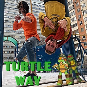 Turtle Way