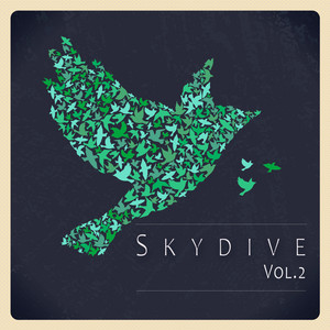 Skydive Vol. 02