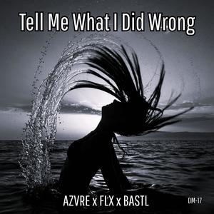 Tell Me What I Did Wrong