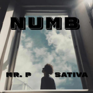 NUMB (feat. Sativa) [Explicit]