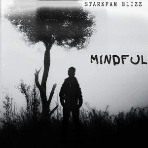 Mindful (Explicit)