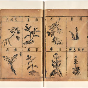 九霄/Cloud9 (Prelude) (Explicit)