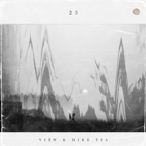 25 (feat. Mike Tea) [Explicit]