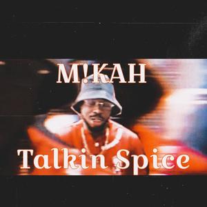 Talkin Spice (Explicit)