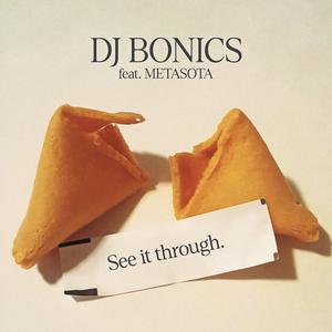 See It Through (feat. Metasota) (Explicit)