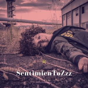 SentimienToZzz (Explicit)
