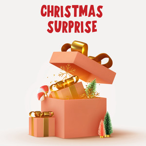 Christmas Surprise