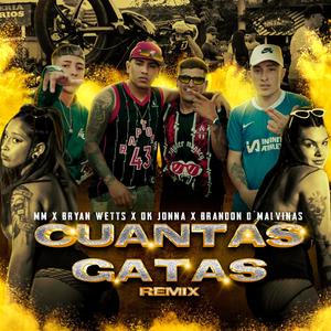 Cuantas Gatas (feat. BryanWetts, Brandon D' Malvinas & MM) (Remix|Explicit)