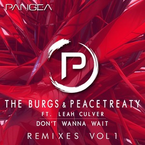 Dont Wanna Wait ft. Leah Culver (Caslow Remix)