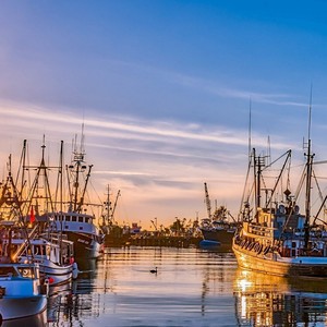 出嫁的码头 (Live)