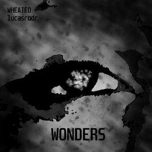 WONDERS