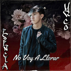 No Voy a Llorar (Original)