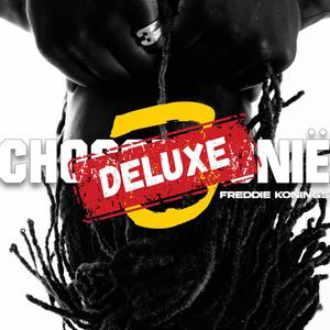 HET SYSTEEM (Explicit)