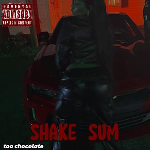 Shake Sum (bonus) [Explicit]