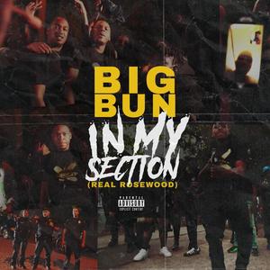 In My Section(Real Rosewood) (Explicit)